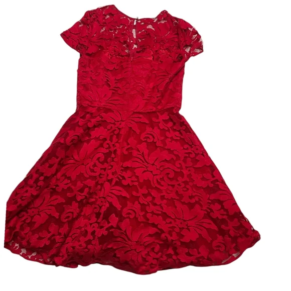 Ted Braker Elegant Red Lace Dress, size 2 - Picture 3 of 16